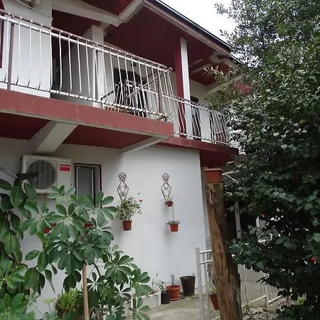 Dani * Podgorica
